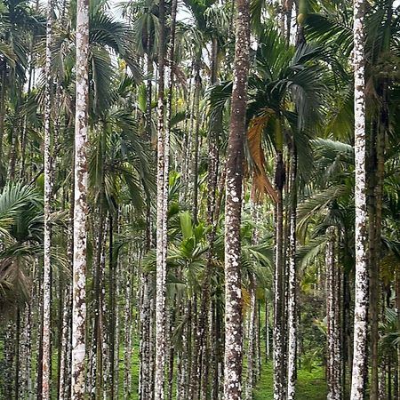 Вілла Max Farms Шімоґа Екстер'єр фото